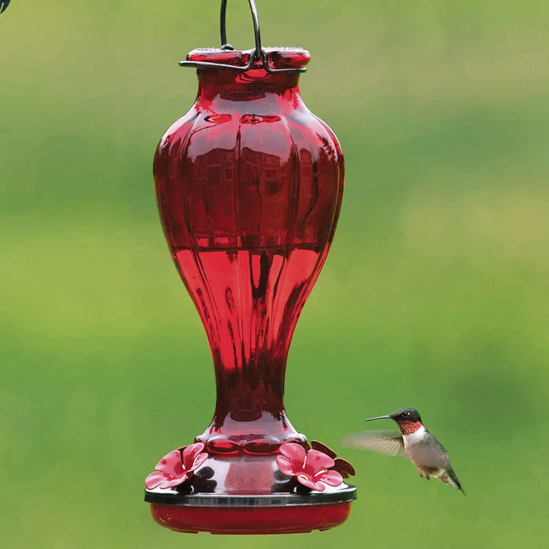 Blossom Hummingbird Feeder