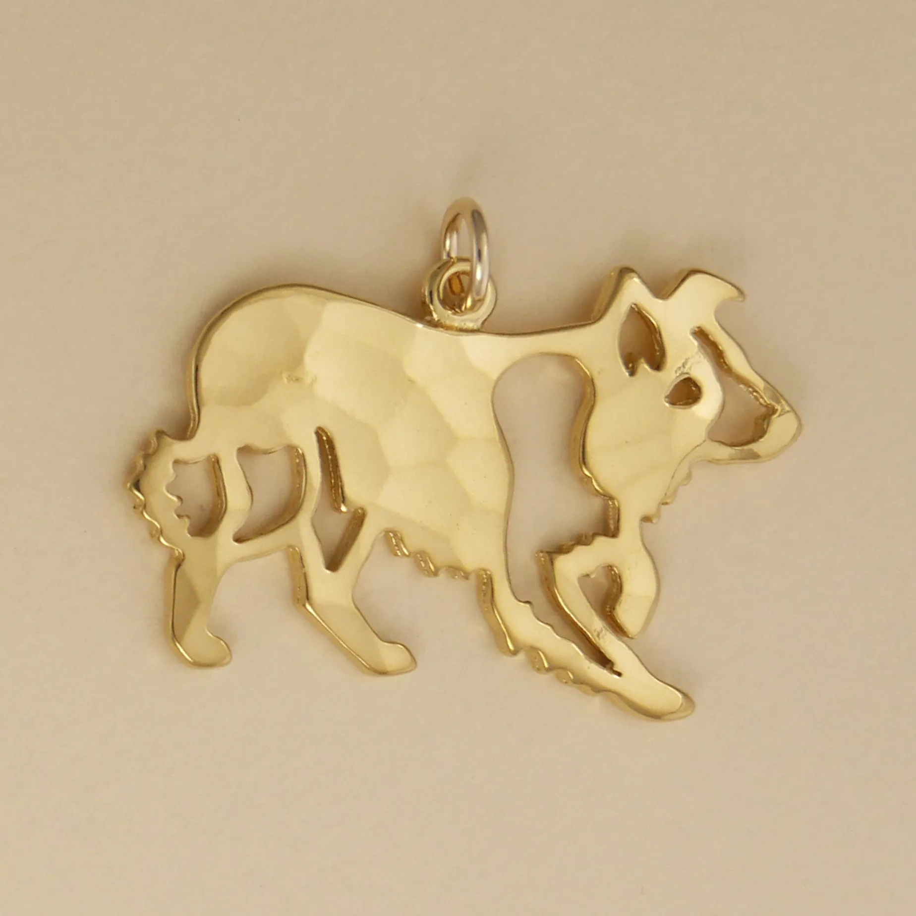 Border Collie Charm