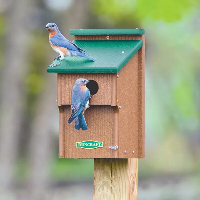 Duncraft Bluebird Double Guarded House