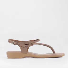 Women's Thong Flat Sandal in Stone - 10732